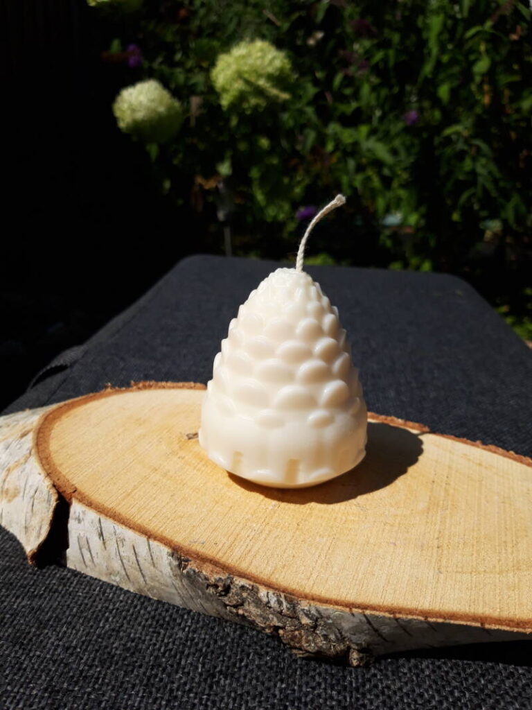 Dennenappels Kaarsen