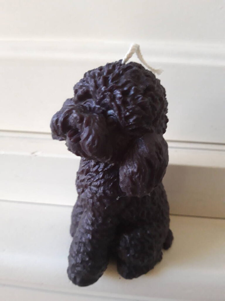 Labradoodle kaars - candle - handgemaakt - koolzaadwas - Afbeelding 3
