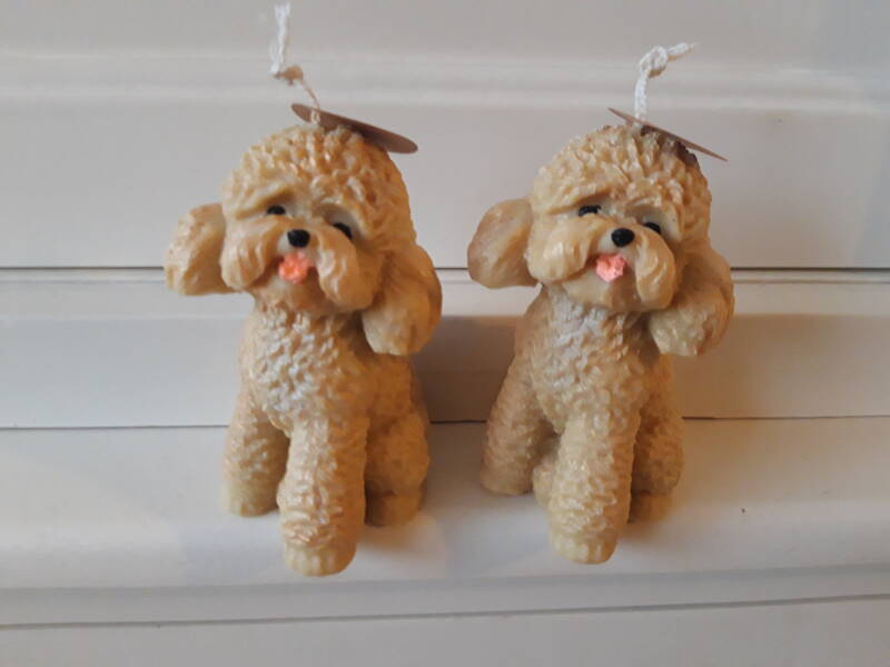 Labradoodle kaars – candle – handgemaakt – koolzaadwas