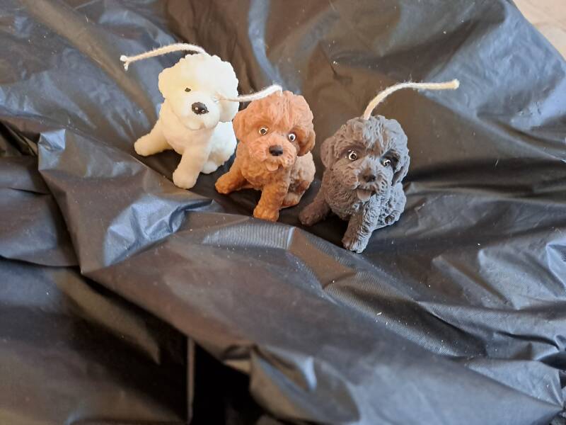 Kaars – labradoodle – puppy -handgemaakt – koolzaadwas
