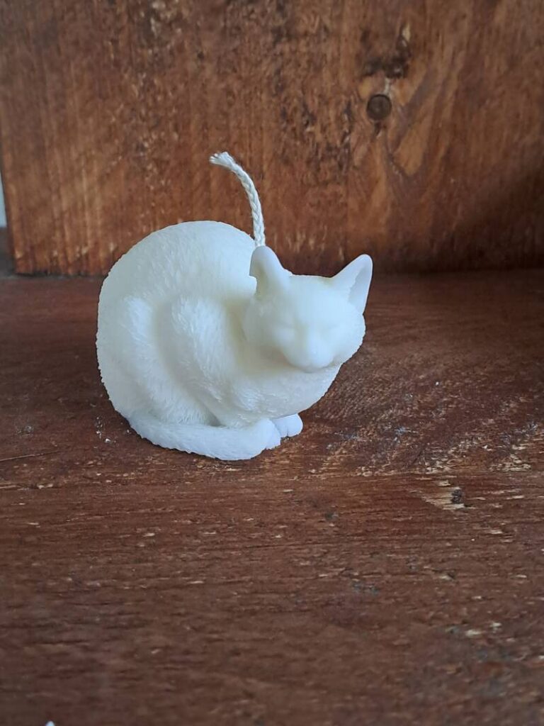 Liggende kat - Afbeelding 2