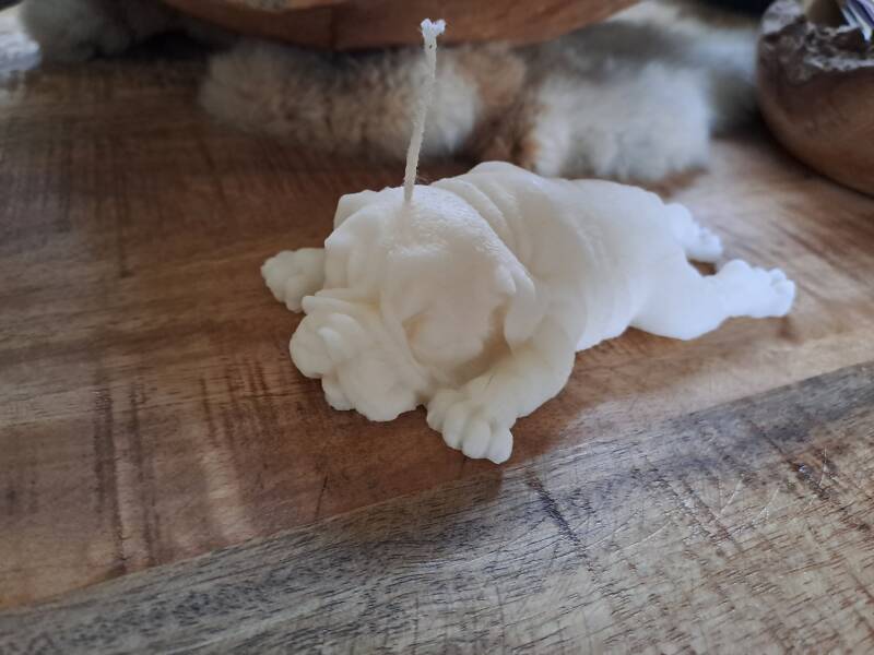 Sharpei kaars – handgemaakt van koolzaadwas