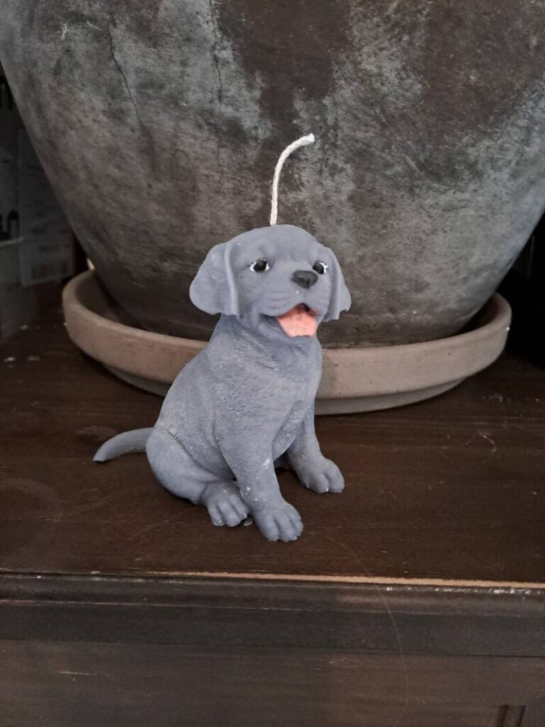 Zittende Labrador retriever kaars - handgemaakt- handmade - Afbeelding 3
