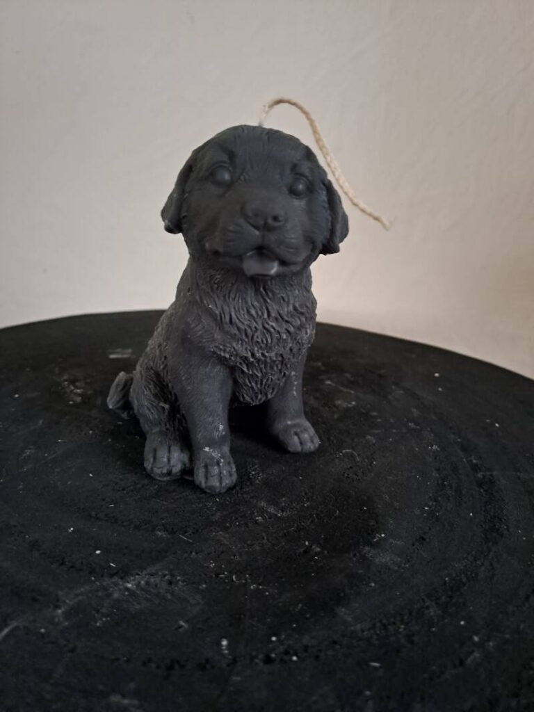 Golden Retriever kaars -candle- koolzaadwas - handgemaakt - Afbeelding 3