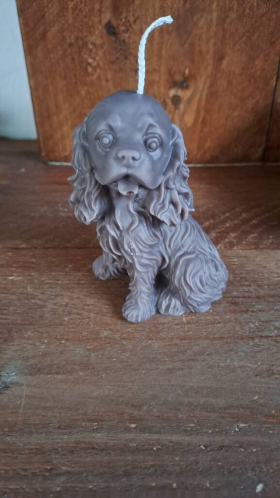 Cavalier King Charles Spaniel kaars/candle - handgemaakt - Afbeelding 9