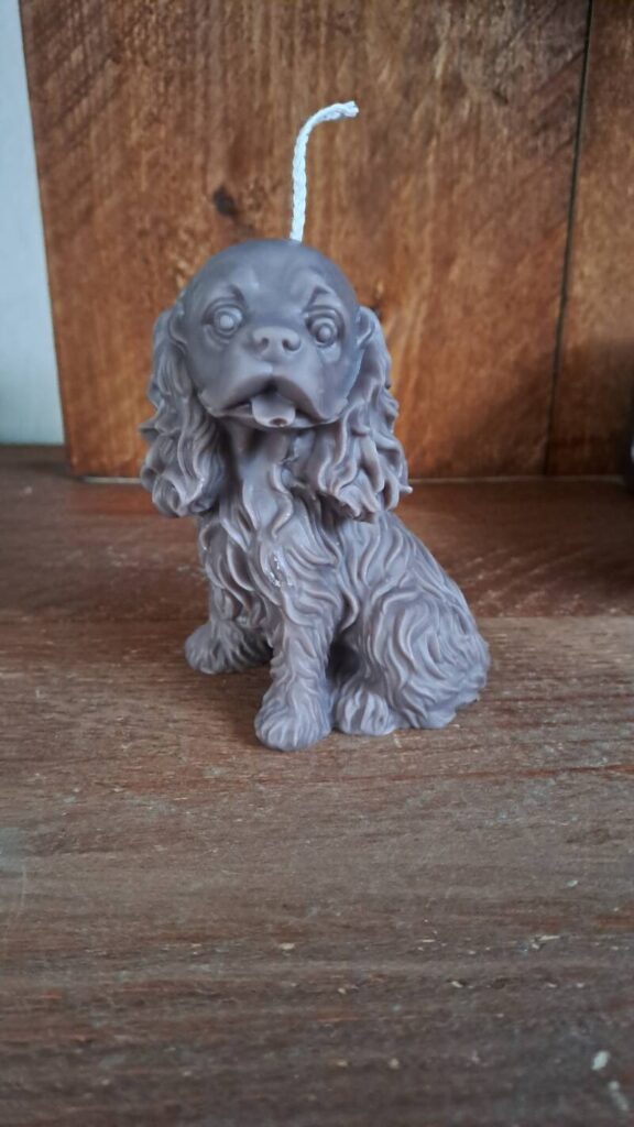 Cavalier King Charles Spaniel kaars/candle - handgemaakt - Afbeelding 10