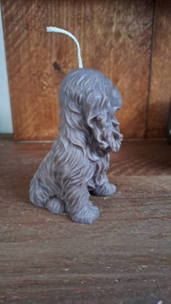 Cavalier King Charles Spaniel kaars/candle - handgemaakt - Afbeelding 11