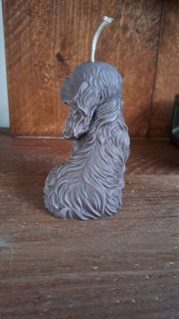 Cavalier King Charles Spaniel kaars/candle - handgemaakt - Afbeelding 12