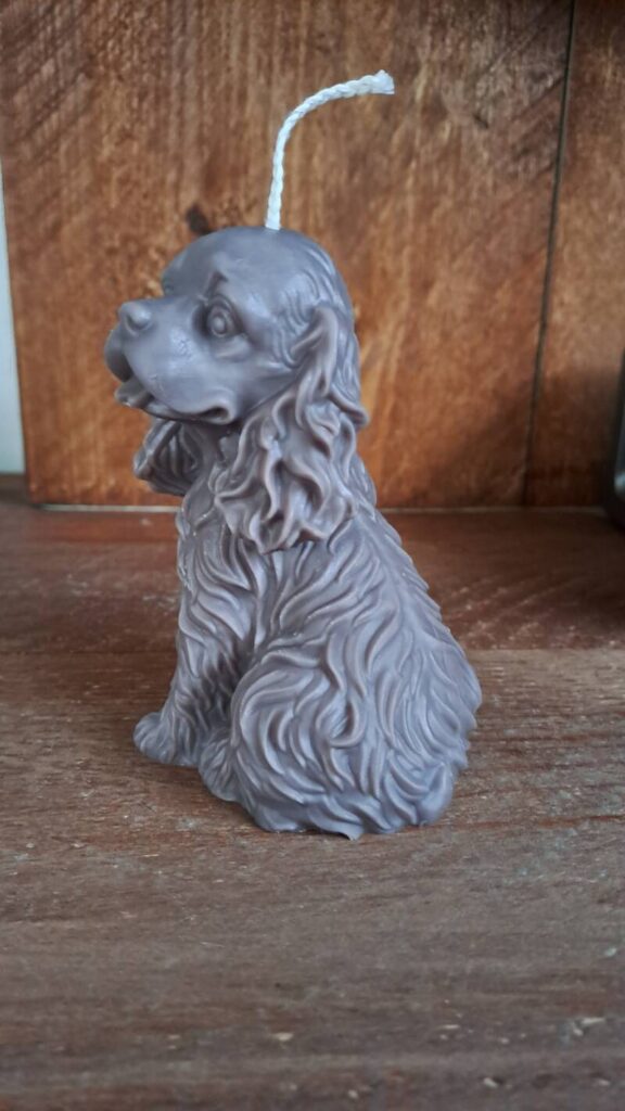 Cavalier King Charles Spaniel kaars/candle - handgemaakt - Afbeelding 13