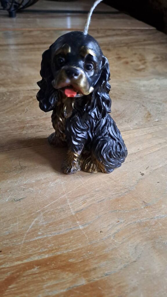 Cavalier King Charles Spaniel kaars/candle - handgemaakt - Afbeelding 8