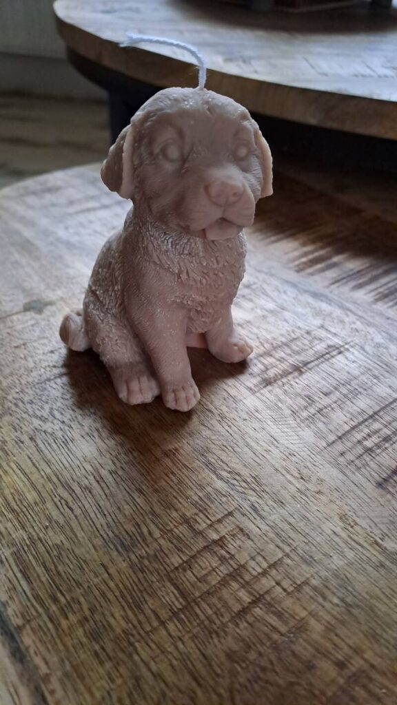 Golden Retriever kaars -candle- koolzaadwas - handgemaakt - Afbeelding 6