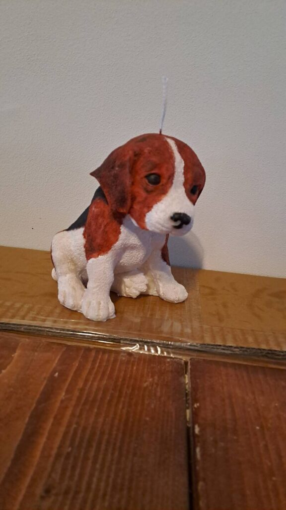 Beagle kaars- hond – candle- jachthond