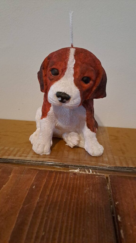 Beagle kaars- hond - candle- jachthond - Afbeelding 2