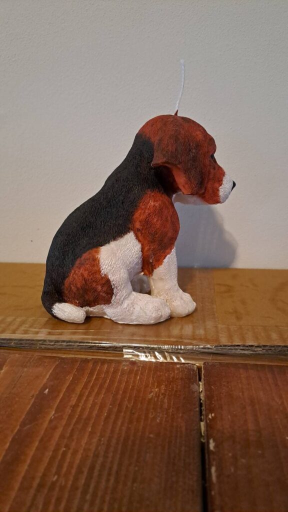 Beagle kaars- hond - candle- jachthond - Afbeelding 5
