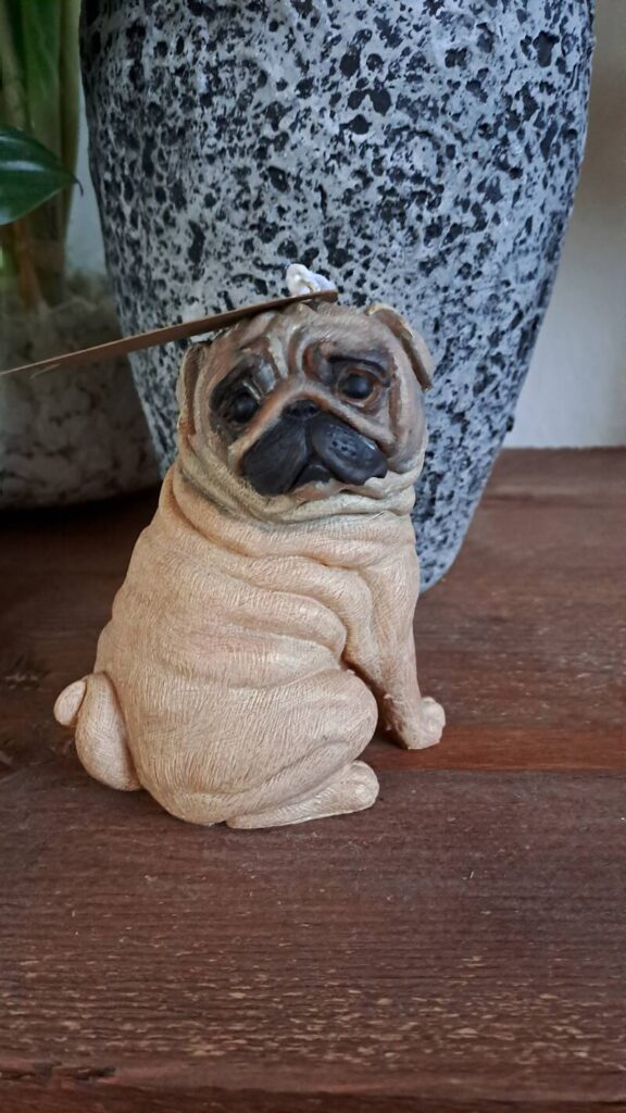 Mopshond kaars- pug- candle – koolzaadwas – handgemaakt