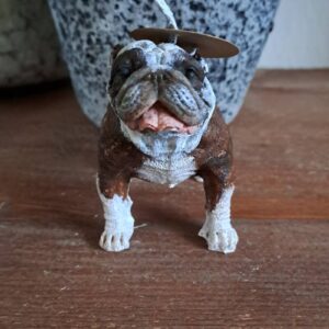 Engelse bulldog kaars -english bulldog - candle - handgemaakt