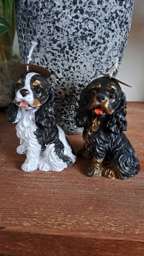 Cavalier King Charles Spaniel kaars/candle - handgemaakt - Afbeelding 7