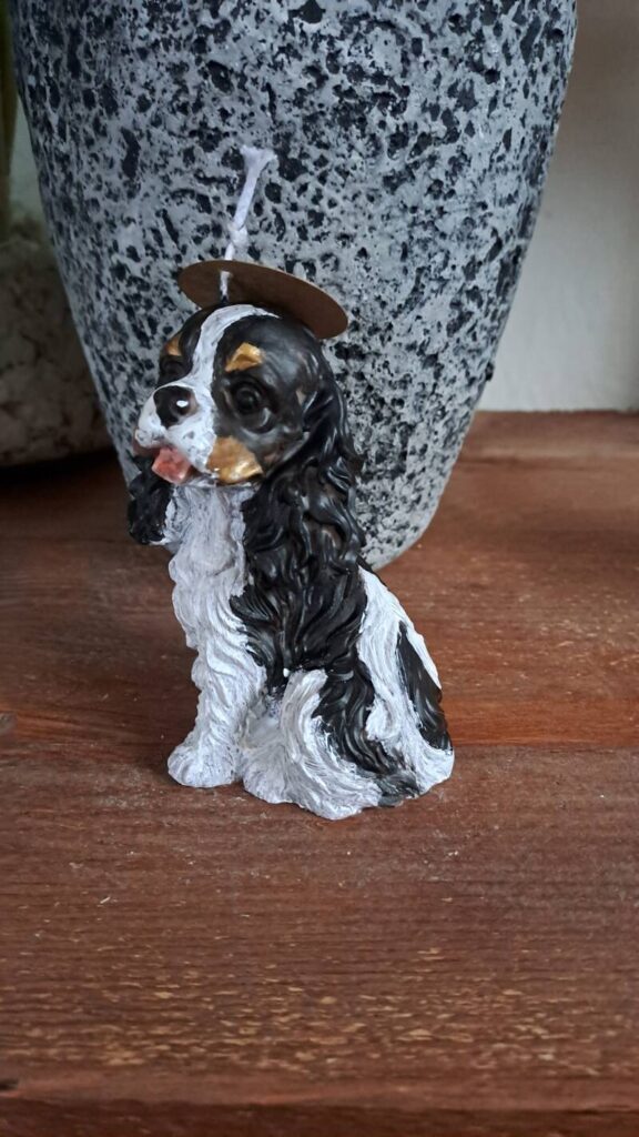 Cavalier King Charles Spaniel kaars/candle - handgemaakt - Afbeelding 6
