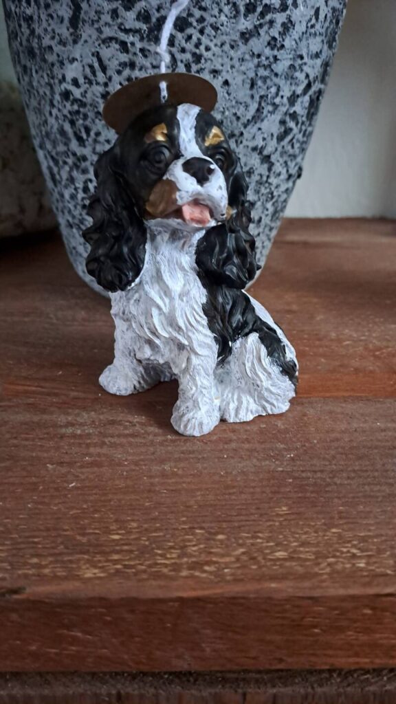 Cavalier King Charles Spaniel kaars/candle - handgemaakt - Afbeelding 5