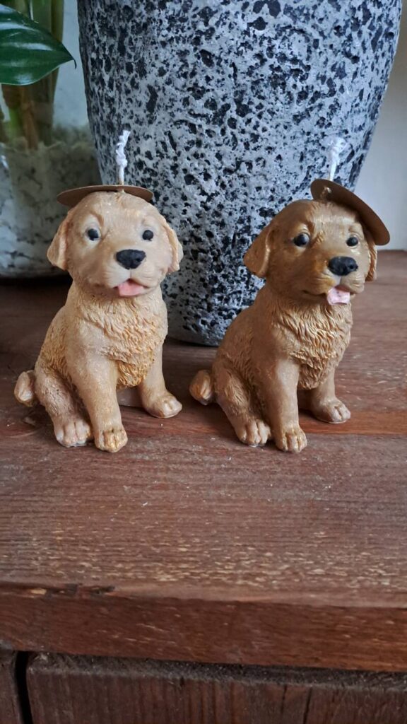 Golden Retriever kaars -candle- koolzaadwas - handgemaakt - Afbeelding 2