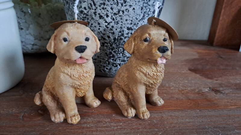 Golden Retriever kaars -candle- koolzaadwas – handgemaakt