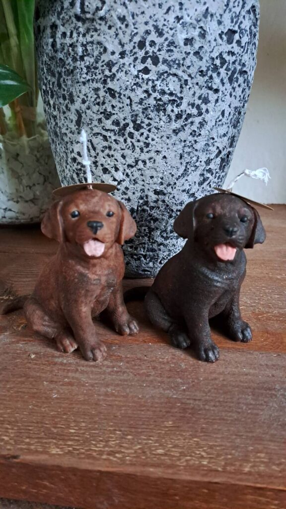 Zittende Labrador retriever kaars - handgemaakt- handmade - Afbeelding 2