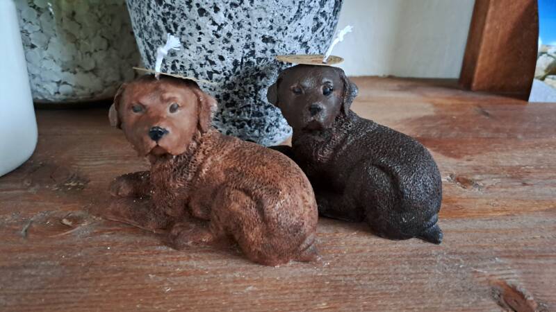 Liggende labrador retriever kaars – candle – handgemaakt
