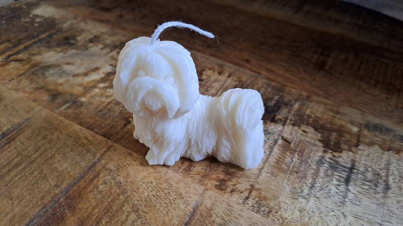 Kleine Shih tzu  kaars – candle – koolzaadwas – handmade