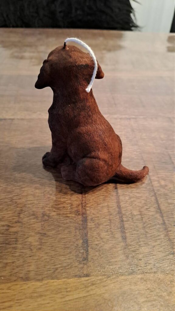 Zittende Labrador retriever kaars - handgemaakt- handmade - Afbeelding 10
