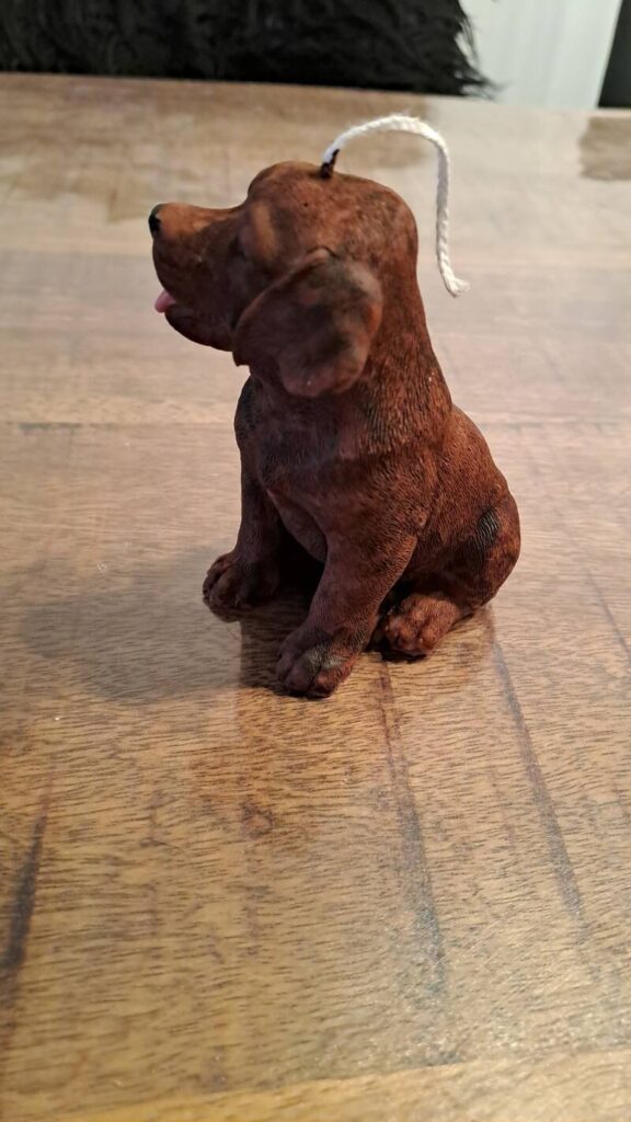Zittende Labrador retriever kaars - handgemaakt- handmade - Afbeelding 11