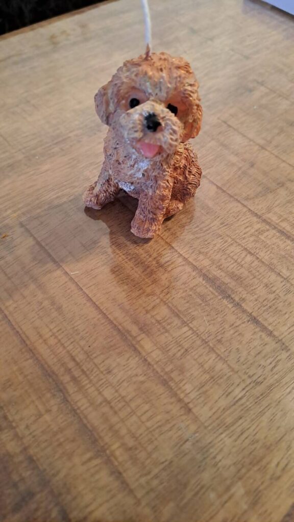Kaars - labradoodle - puppy -handgemaakt - koolzaadwas - Afbeelding 5