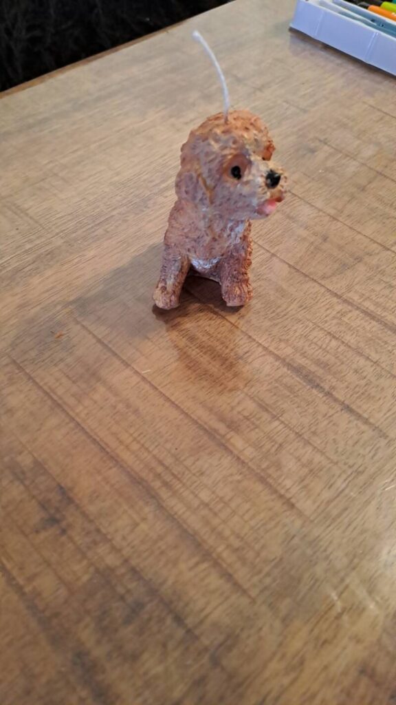 Kaars - labradoodle - puppy -handgemaakt - koolzaadwas - Afbeelding 6