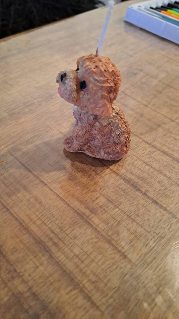 Kaars - labradoodle - puppy -handgemaakt - koolzaadwas - Afbeelding 8