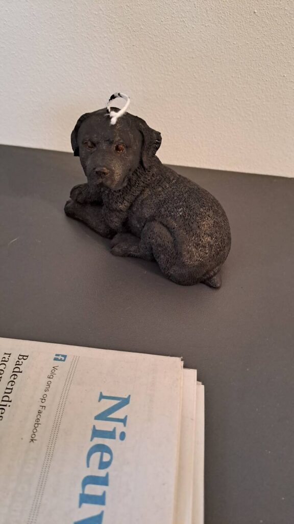 Liggende labrador retriever kaars - candle - handgemaakt - Afbeelding 10
