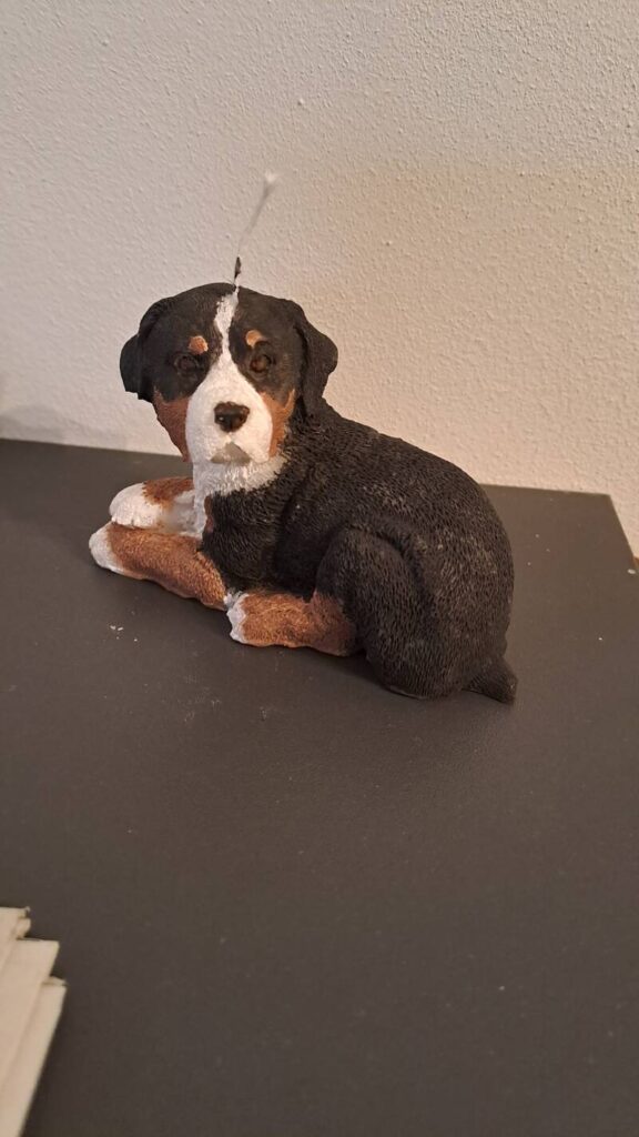 Grote Zwitserse Sennenhond kaars – handgemaakt – candle