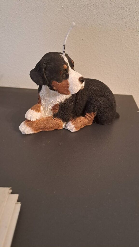Grote Zwitserse Sennenhond kaars - handgemaakt - candle - Afbeelding 3
