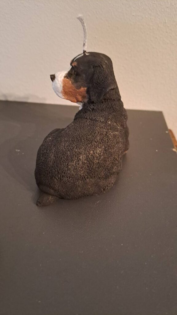 Grote Zwitserse Sennenhond kaars - handgemaakt - candle - Afbeelding 5