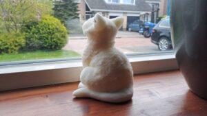 kattenkaarsen