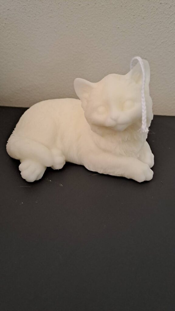 Liggende Perzische kat