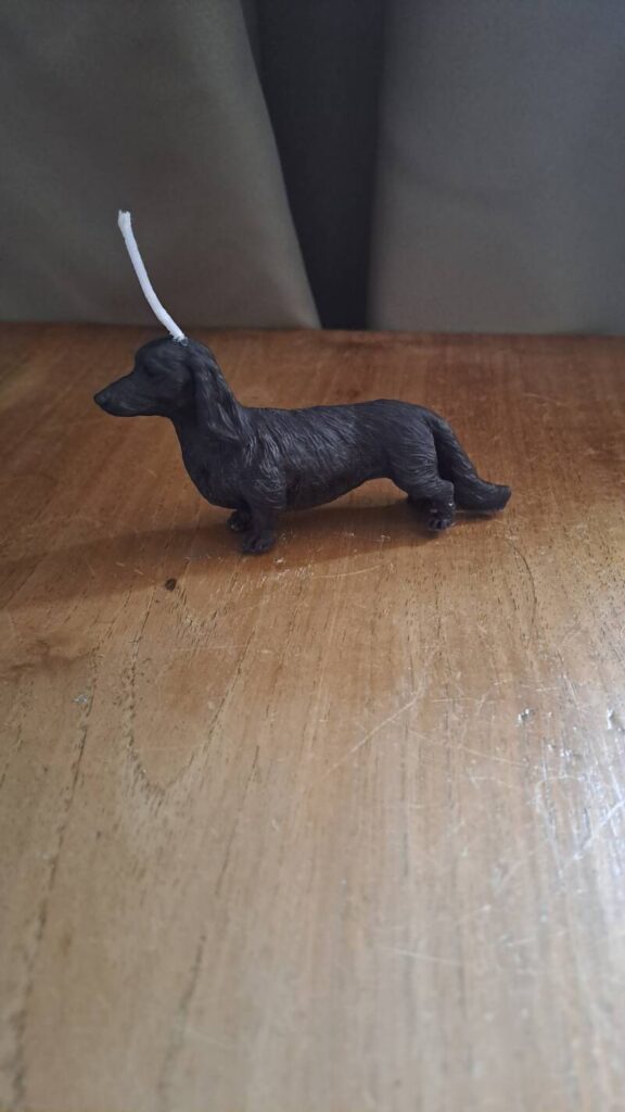 Langharige Teckel/Dashhund kaars – candle – handgemaakt