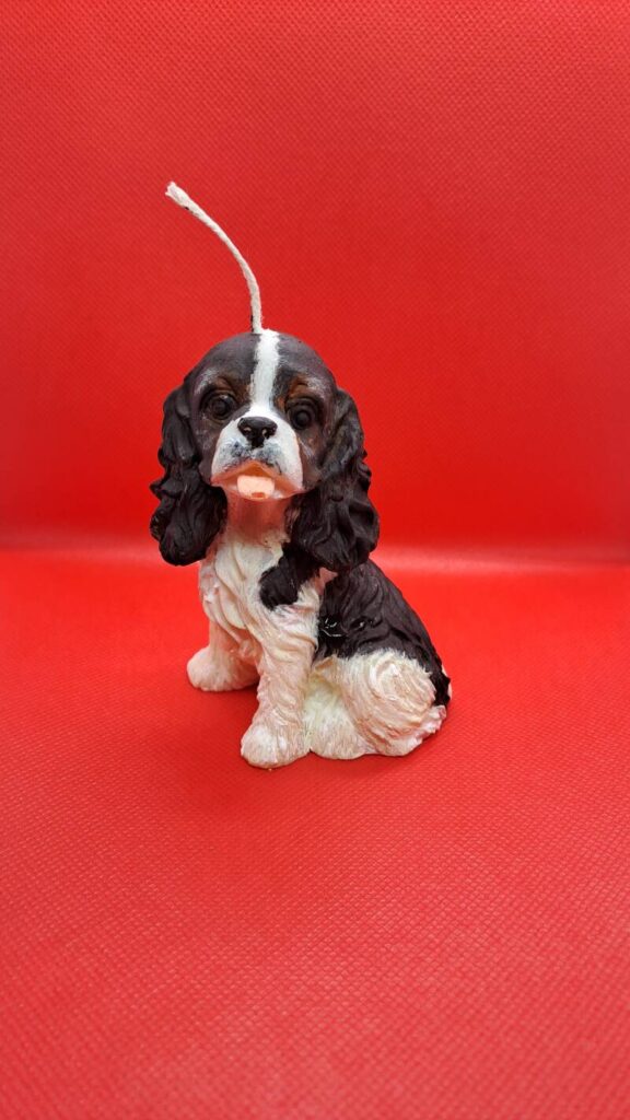 Cavalier King Charles Spaniel kaars/candle – handgemaakt