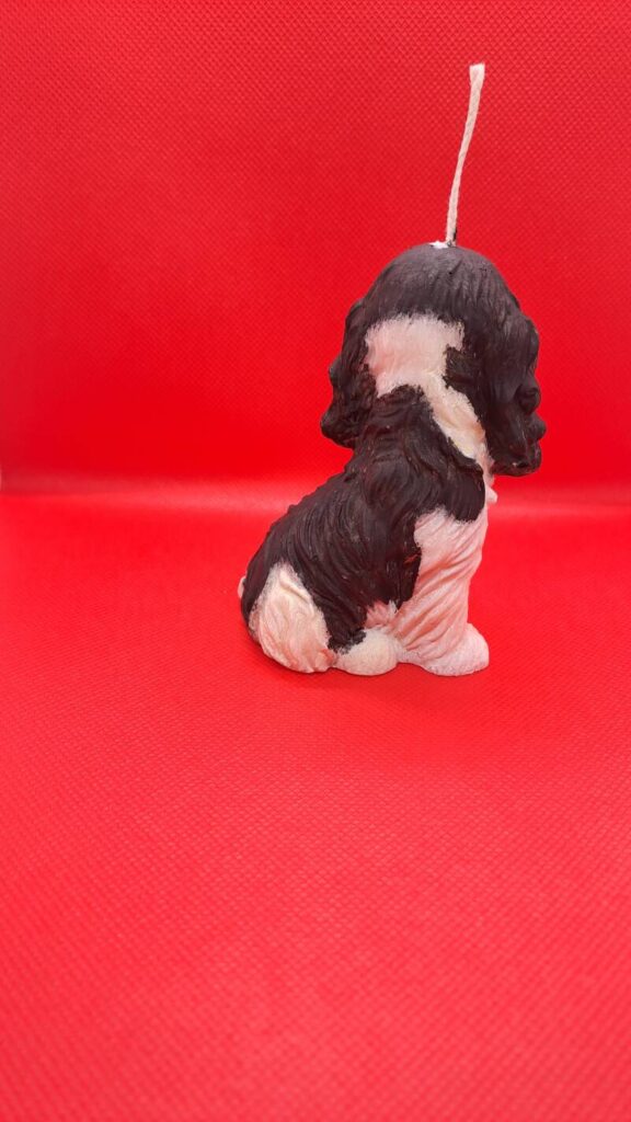 Cavalier King Charles Spaniel kaars/candle - handgemaakt - Afbeelding 3