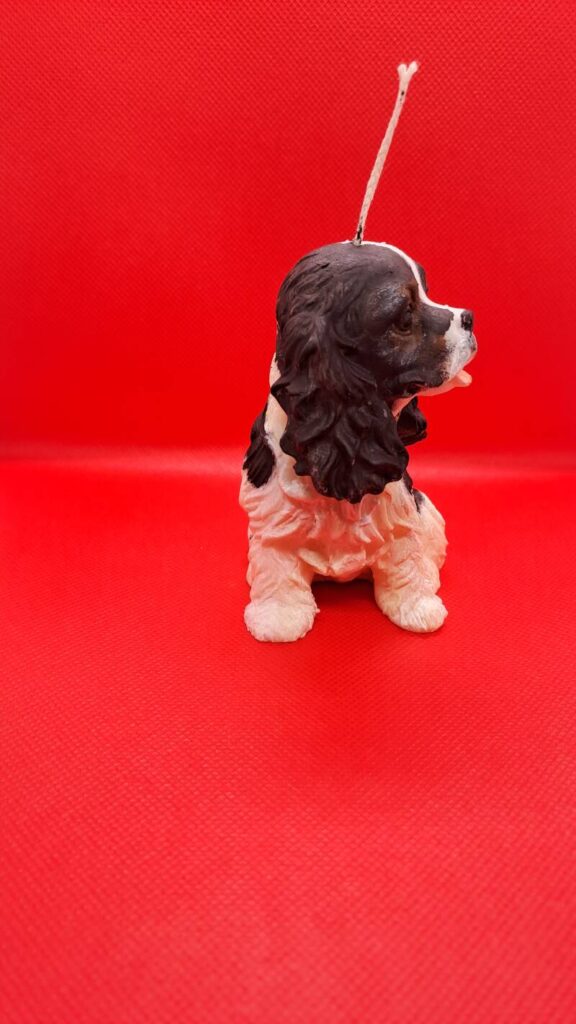 Cavalier King Charles Spaniel kaars/candle - handgemaakt - Afbeelding 4