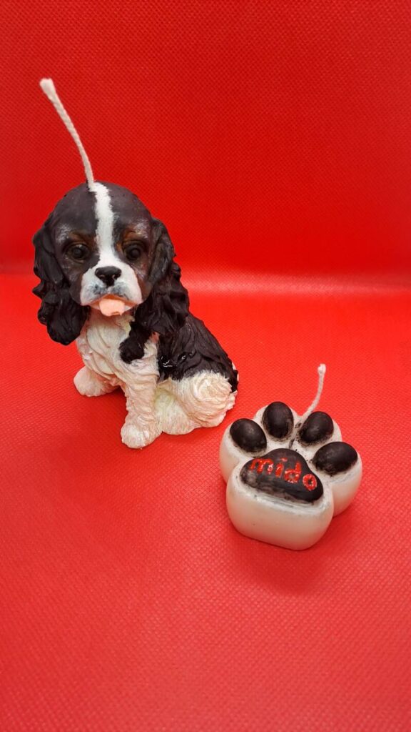 Cavalier King Charles Spaniel kaars/candle - handgemaakt - Afbeelding 14