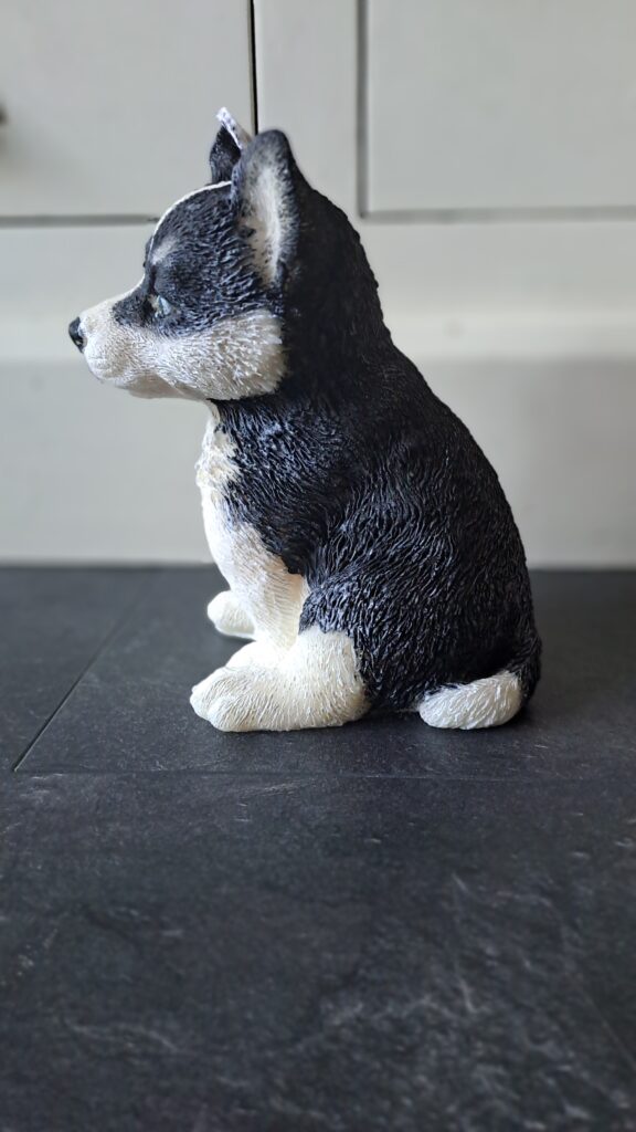 Hondenkaars Siberische husky - Afbeelding 8