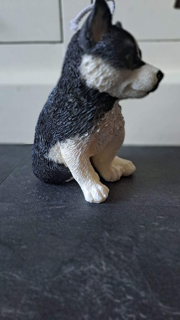 Hondenkaars Siberische husky - Afbeelding 10