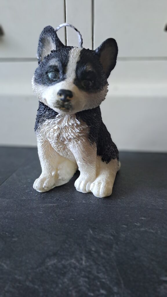 Hondenkaars Siberische husky - Afbeelding 7