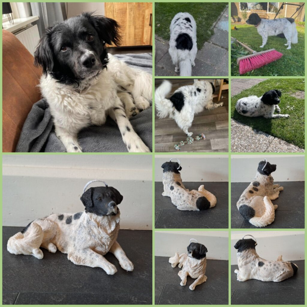 Op maat gemaakte kaars van jouw hond - Afbeelding 5