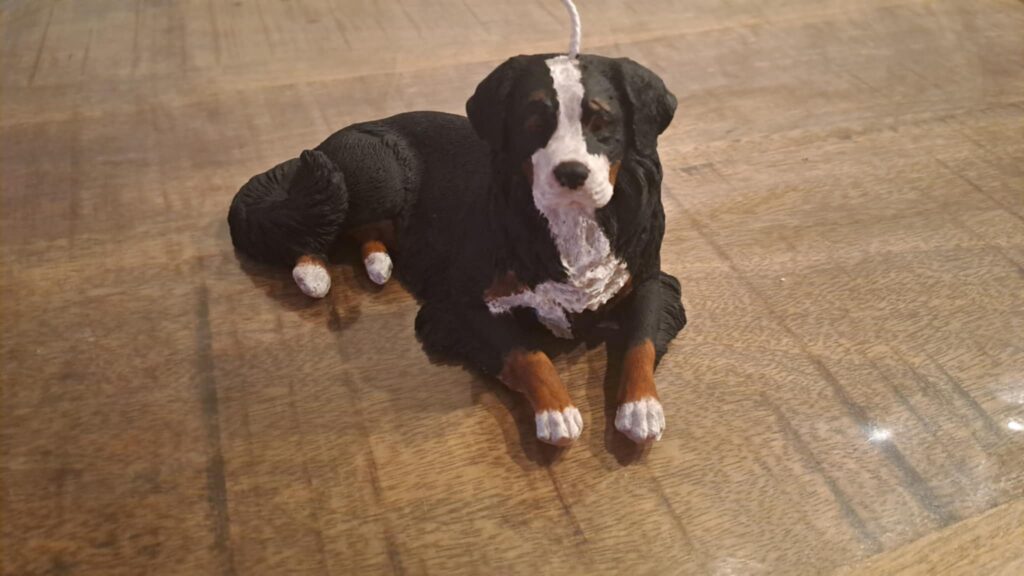 Berner Sennenhond Kaars