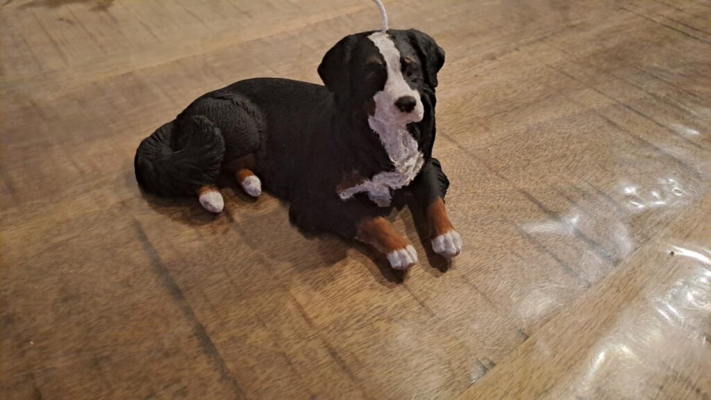 Berner Sennenhond Kaars - Afbeelding 2